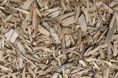 biomass boilers Sydenham Damerel