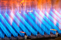 Sydenham Damerel gas fired boilers